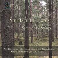 Spirits of the Forest